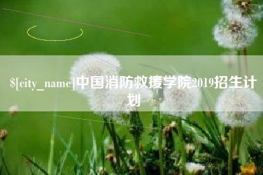 微山中国消防救援学院2019招生计划