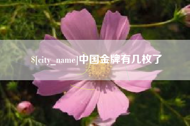 微山中国金牌有几枚了