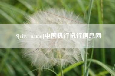 微山中国执行执行信息网