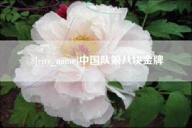 微山中国队第八块金牌