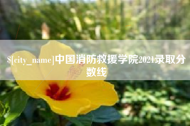 微山中国消防救援学院2021录取分数线