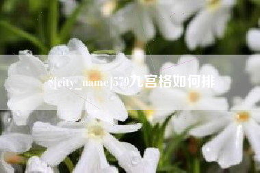 微山579九宫格如何排