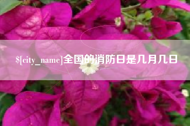 微山全国的消防日是几月几日
