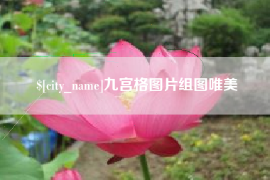 微山九宫格图片组图唯美