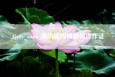 微山消防证国网查询操作证