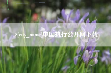 微山中国执行公开网下载