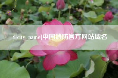 微山中国消防官方网站域名