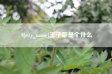 微山王子豪是个什么