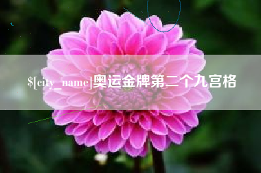 微山奥运金牌第二个九宫格