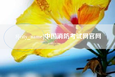 微山中国消防考试网官网