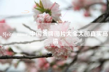 微山中国金牌图片大全大图真实高清