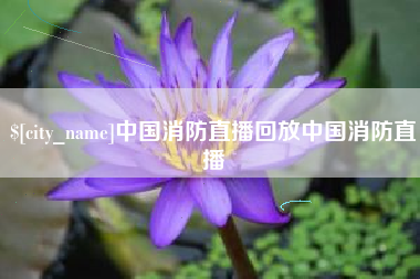 微山中国消防直播回放中国消防直播