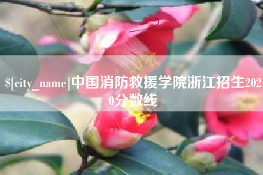 微山中国消防救援学院浙江招生2020分数线