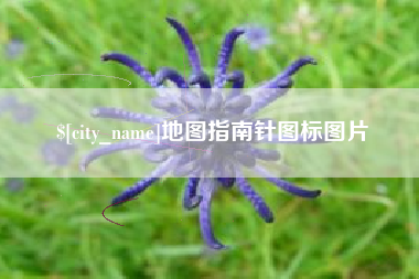 微山地图指南针图标图片