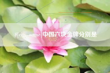 微山中国六块金牌分别是