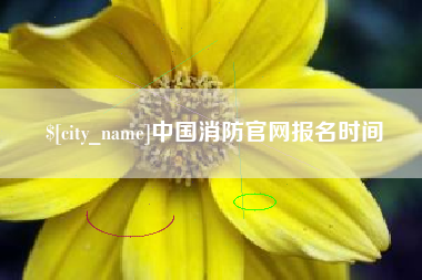 微山中国消防官网报名时间