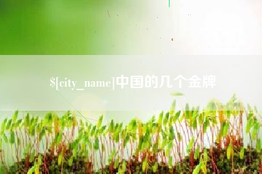 微山中国的几个金牌