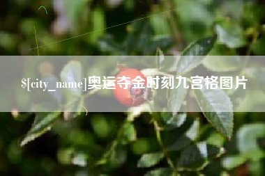 微山奥运夺金时刻九宫格图片