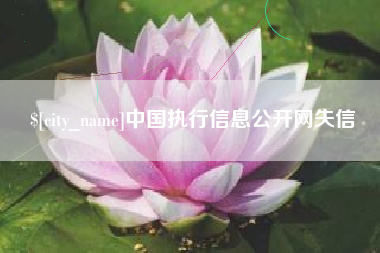 微山中国执行信息公开网失信