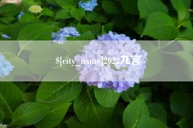 微山2022九宫