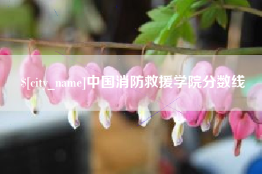 微山中国消防救援学院分数线