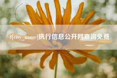 微山执行信息公开网查询免费