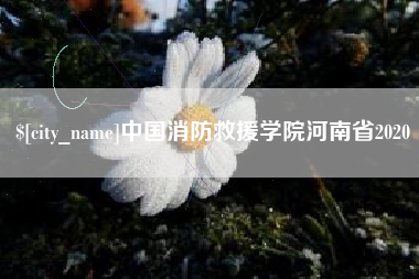 微山中国消防救援学院河南省2020
